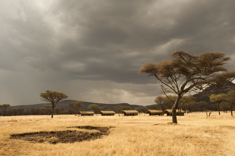 Ndutu Kati Kati Tented Camp, Tanzania