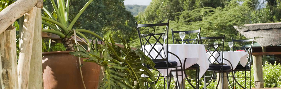 Dining on the terrace at Tloma Lodge