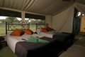 Exclusive Mobile Camps in Northern Tanzania