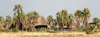 Maramboi Luxury Tented Safari Camp in Tarangire and Manyara in Northern Tanzania