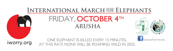 iworry.org - International March for Elephants