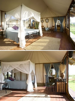 King and Twin tents at Maramboi tented camp with a view to the private ensuite bathrooms with built-in showers