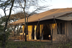 A luxury tent at Masek Under Canvas