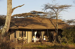A luxury tent at Moru Under Canvas